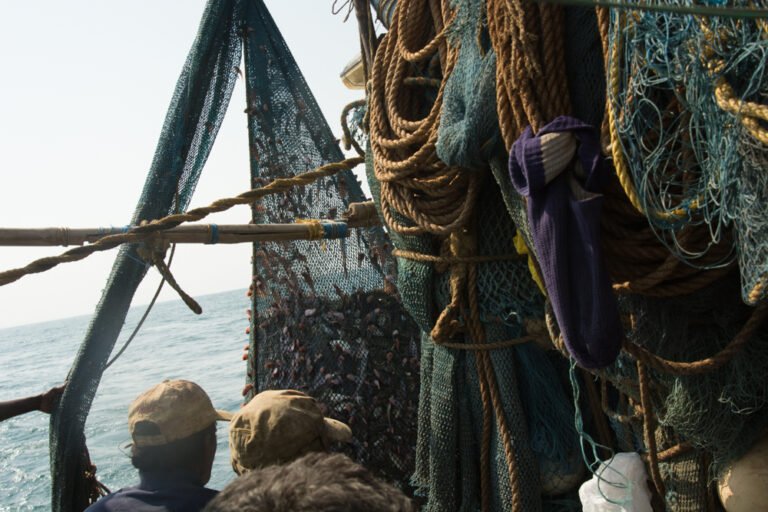 Trawling for Trouble: The Underbelly of Seafood